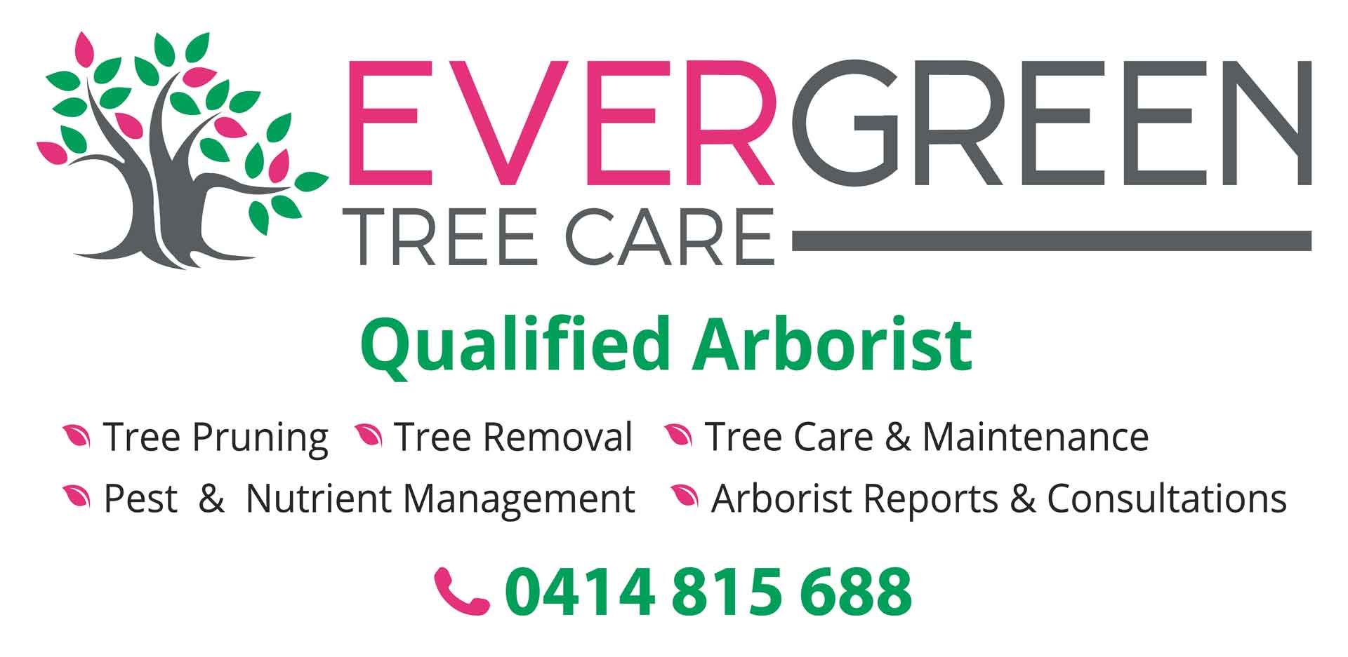 Evergreen tree care manages the urban forest of Brisbane. Qualified arborists.